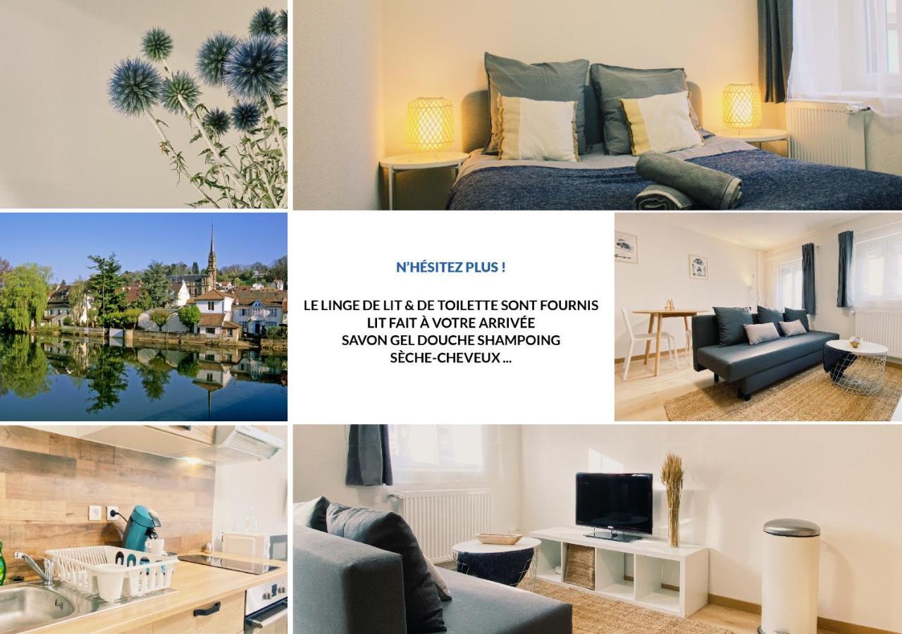 House 301 - Chaleureux - Wifi Haut Debit Vieux-Charmont 외부 사진