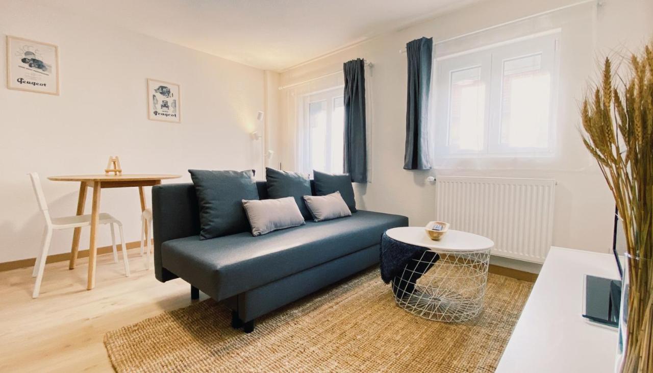 House 301 - Chaleureux - Wifi Haut Debit Vieux-Charmont 외부 사진