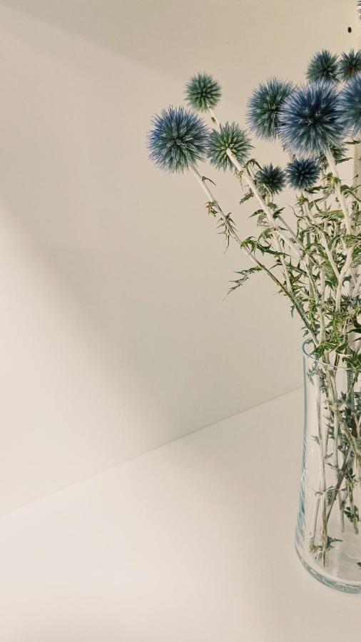 House 301 - Chaleureux - Wifi Haut Debit Vieux-Charmont 외부 사진